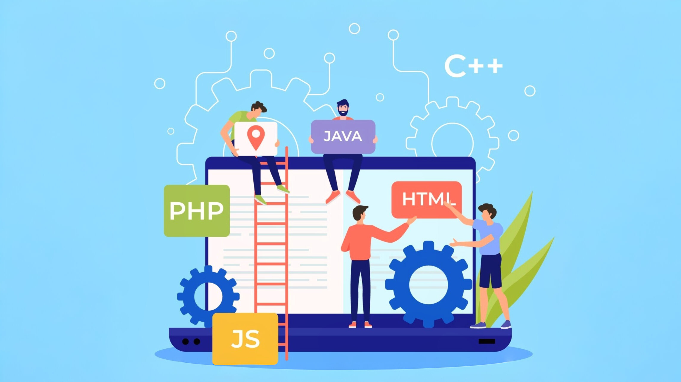 Website & App Development